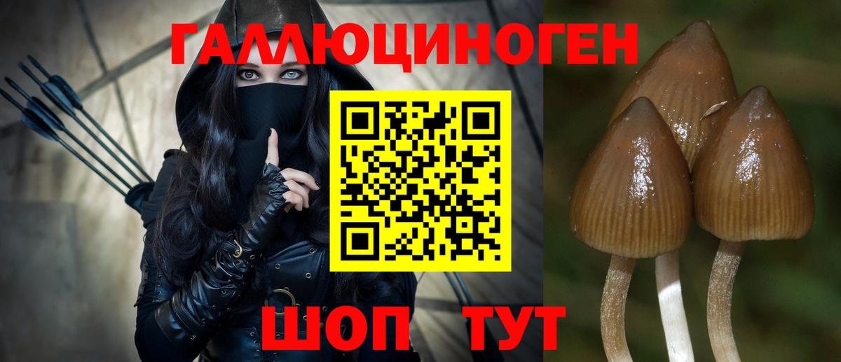 Галлюциногенные грибы мицелий Дзержинский